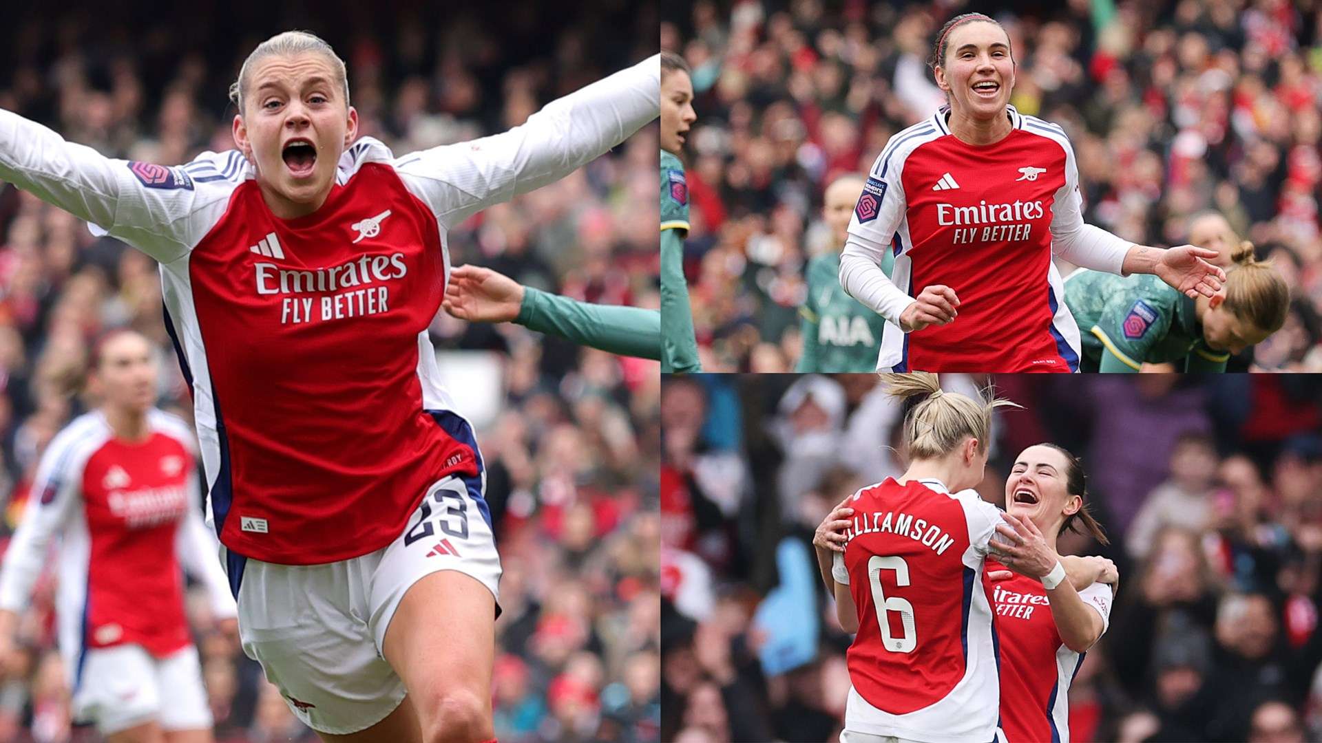 举不仅表明 举不仅表明